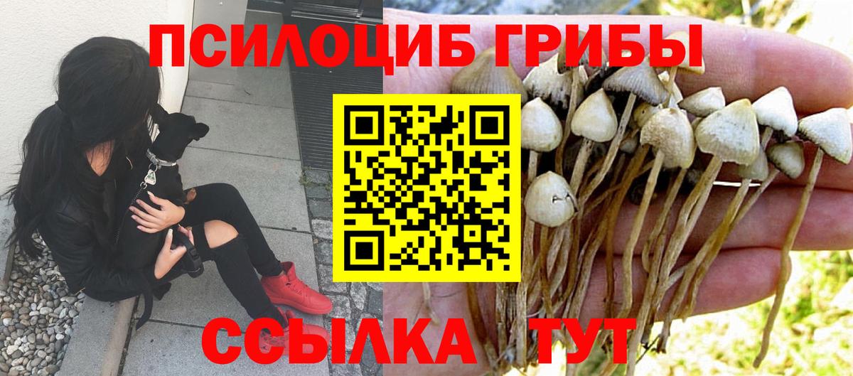 Псилоцибиновые грибы Cubensis  Вход с VPN  Сатка 